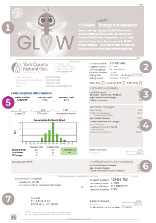 Example YCNGA bill with consumption information section highlighted