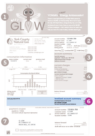 Example YCNGA bill with levelized summary section highlighted